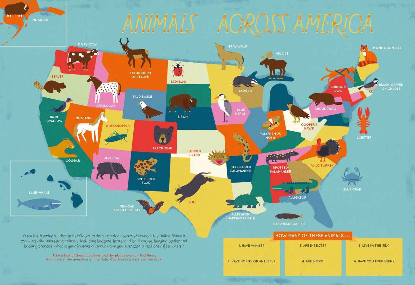 The 50 States: Explore the U.S.A. with 50 fact-filled maps! - Bloggy Moms